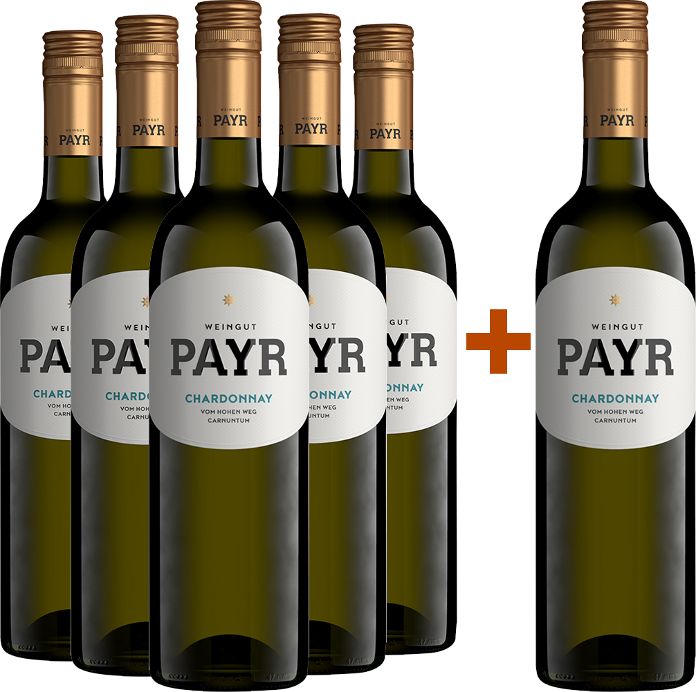5+1 Chardonnay vom Lehm Carnuntum DAC ÖTW Gebietswein BIO BIO