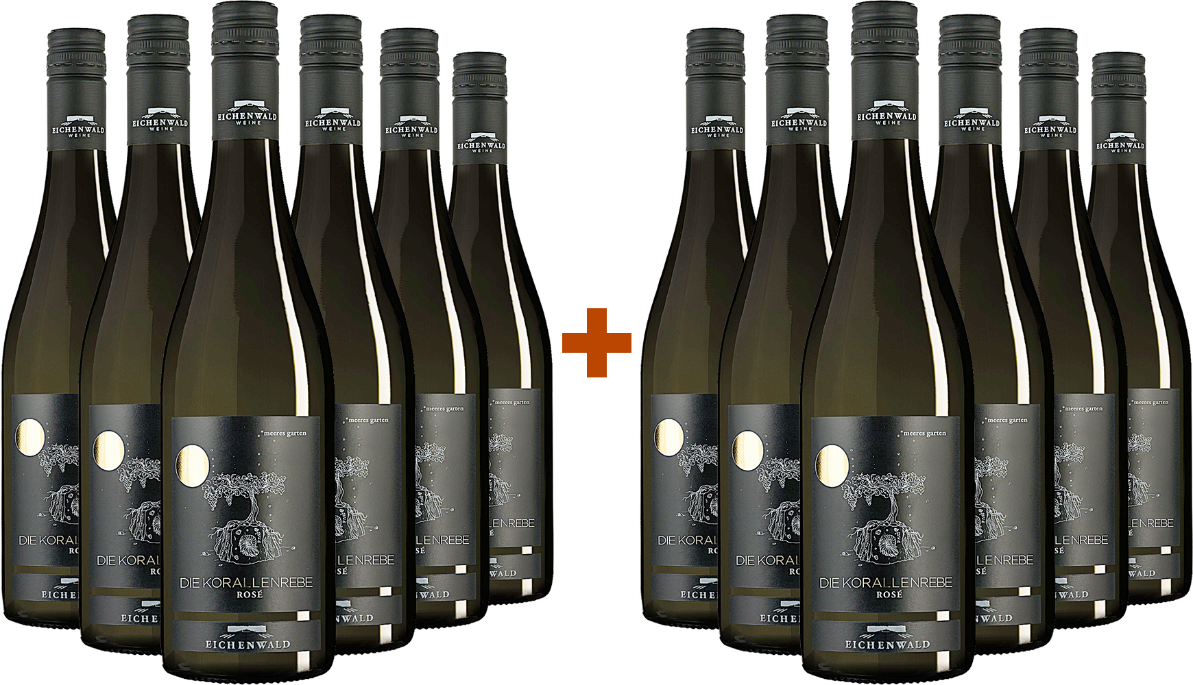 6+6 Paket 2024 Die Korallenrebe Rosé