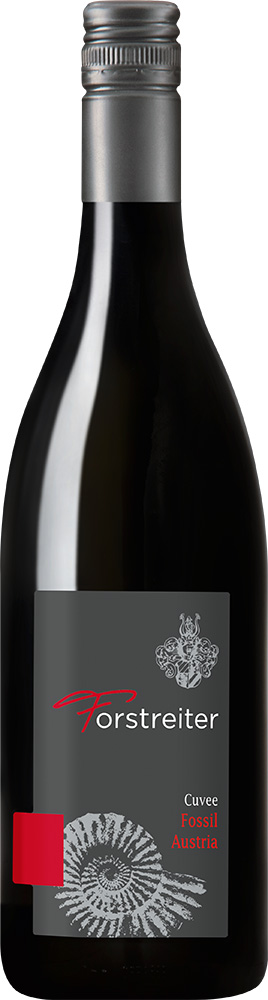 2019 Fossil 2019 Fossil