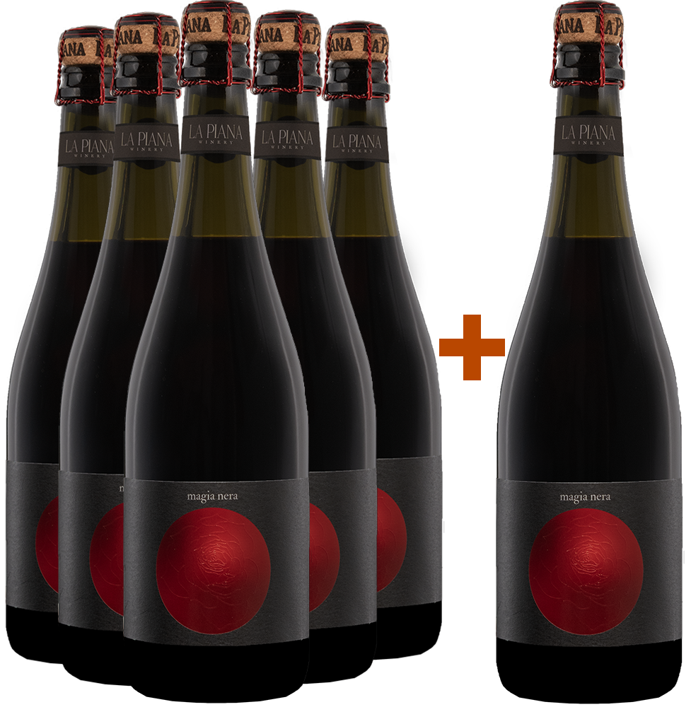 5+1 Paket Magia Nera Lambrusco Grasparossa di Castelvetro DOC BIO