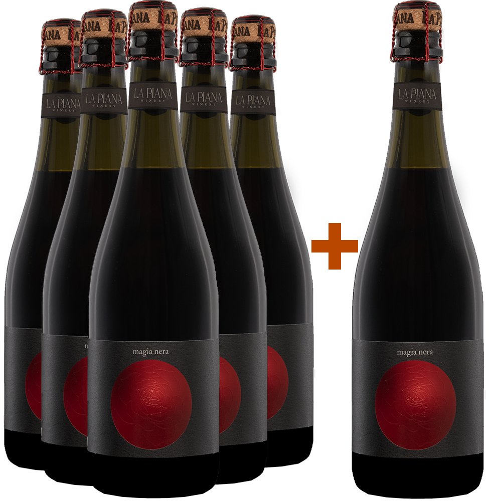 5+1 Paket Magia Nera Lambrusco Grasparossa di Castelvetro DOC BIO 5+1 Paket Magia Nera Lambrusco Grasparossa di Castelvetro DOC BIO