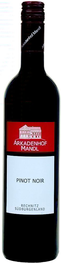 2023 Pinot Noir 2023 Pinot Noir