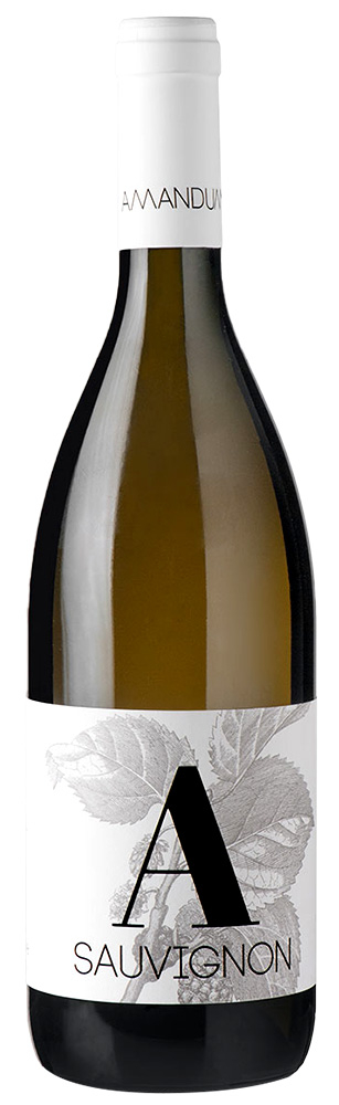 2018 Sauvignon Friuli Isonzo DOC