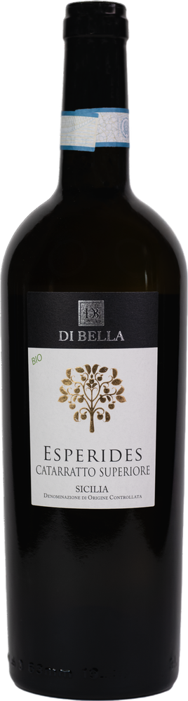 2025 Catarratto Superiore Sicilia Doc