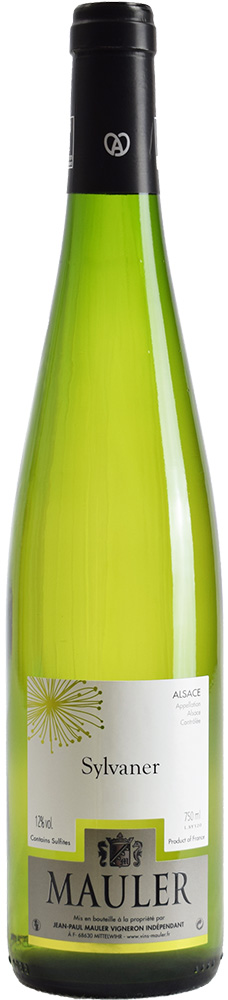 2023 Sylvaner Alsace AOP