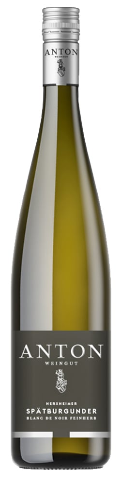 2024 Herxheimer Spätburgunder Blanc de Noir