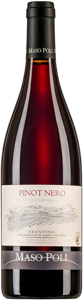 2021 Pinot Nero Trentino Superiore DOC 2021 Pinot Nero Trentino Superiore DOC