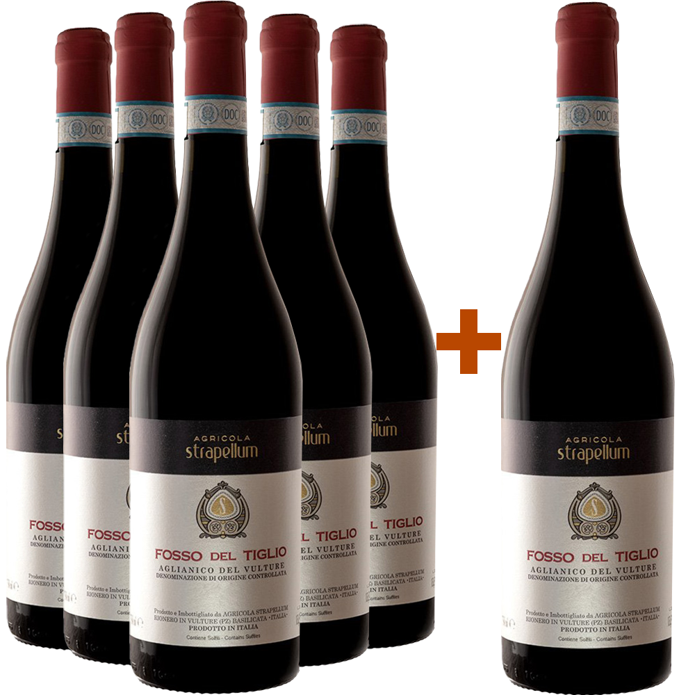 5+1 Paket Fosso del Tiglio Aglianico del Vulture DOC 5+1 Paket Fosso del Tiglio Aglianico del Vulture DOC