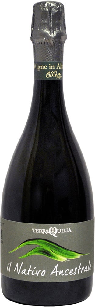 2020 Il Nativo Ancestrale Emilia IGP BIO 2020 Il Nativo Ancestrale Emilia IGP BIO