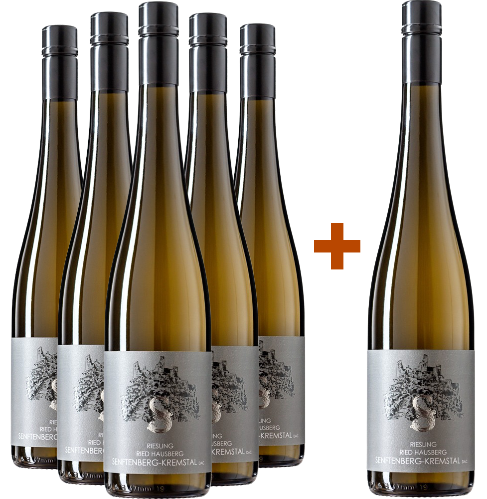 5+1 Paket Ried Hausberg Riesling Senftenberg-Kremstal DAC trocken - Andrea Schenter