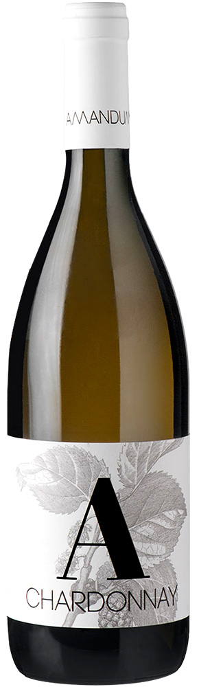 2018 Chardonnay Friuli Isonzo DOC