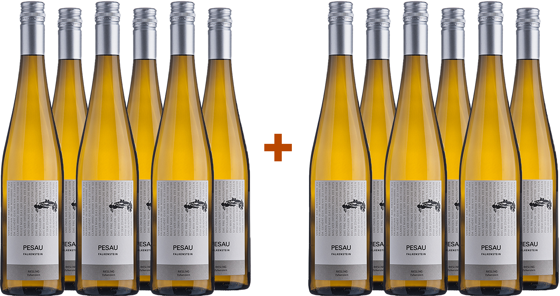 6+6 Paket 2023 Riesling Falkenstein trocken Bio BIO