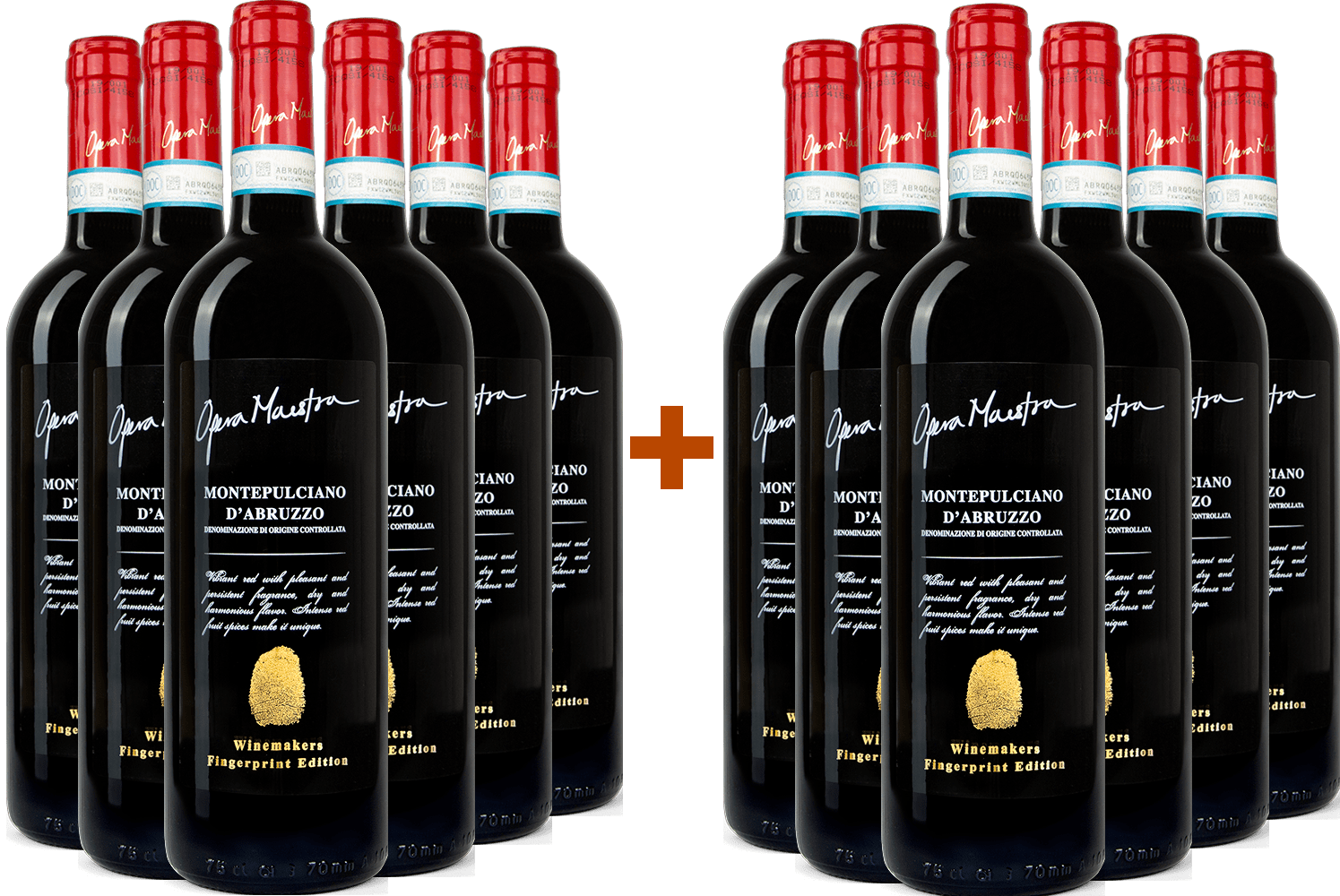 6+6 Paket Opera Maestra Montepulciano d'Abruzzo DOC 6+6 Paket Opera Maestra Montepulciano d'Abruzzo DOC
