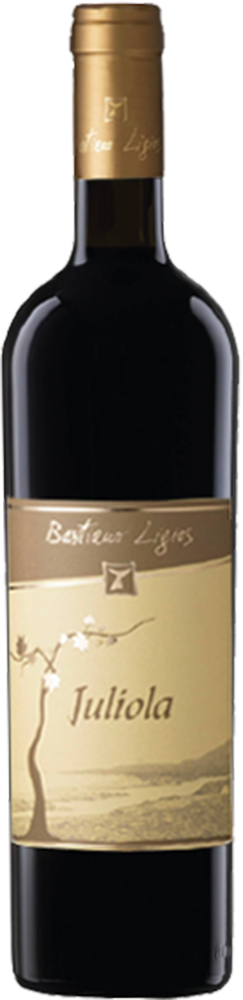 2016 Juliola Bianco Isola dei Nuraghi IGP