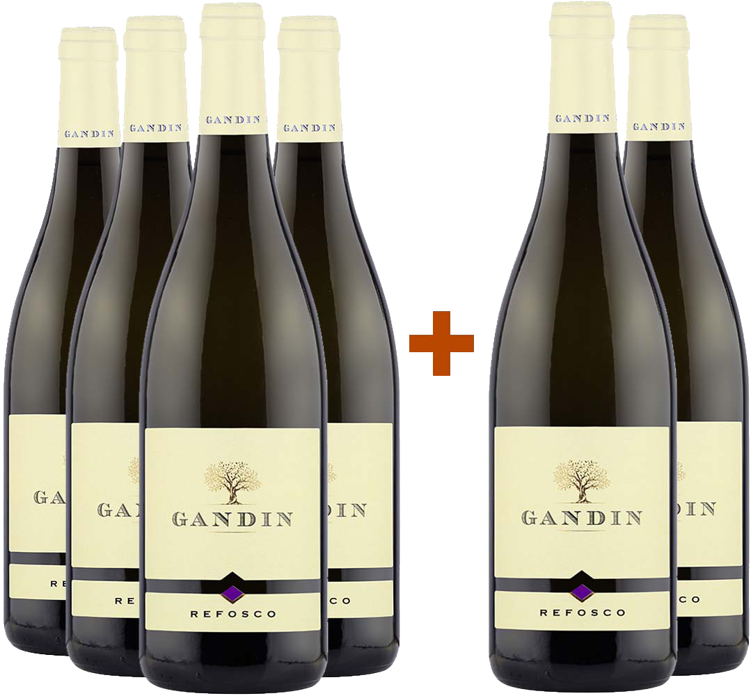 4+2 Paket Refosco dal Peduncolo Rosso Friuli Isonzo DOC 4+2 Paket Refosco dal Peduncolo Rosso Friuli Isonzo DOC