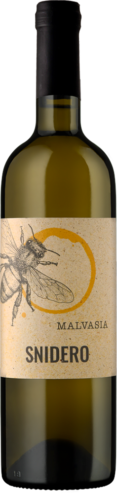 2024 Malvasia DOC BIO 2024 Malvasia DOC BIO