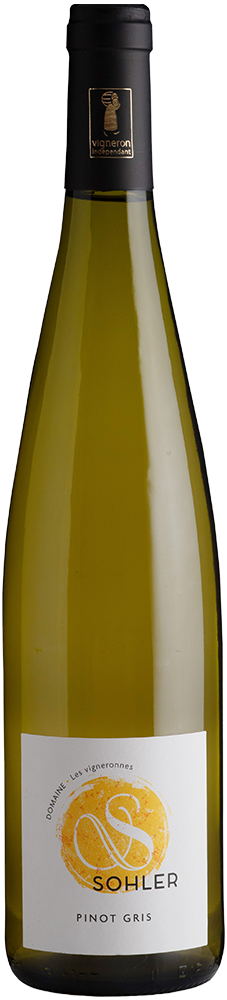 2023 Pinot Gris Alsace AOP BIO 2023 Pinot Gris Alsace AOP BIO