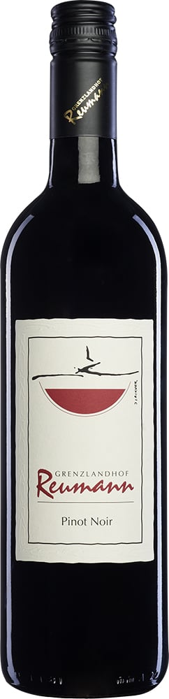 2022 Pinot Noir 2022 Pinot Noir