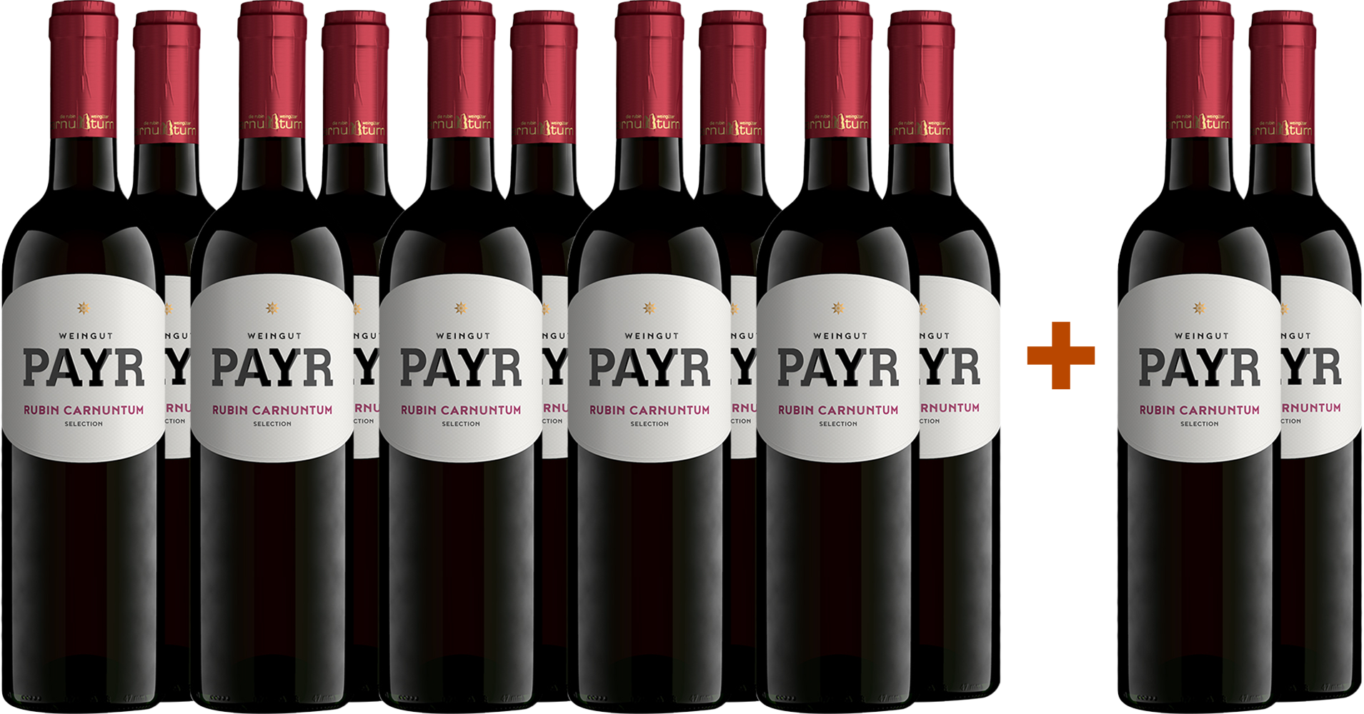 10+2 2024 Zweigelt Rubin Carnuntum DAC ÖTW Gebietswein BIO BIO