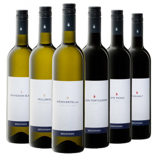 Bergmann Kennenlern-Paket