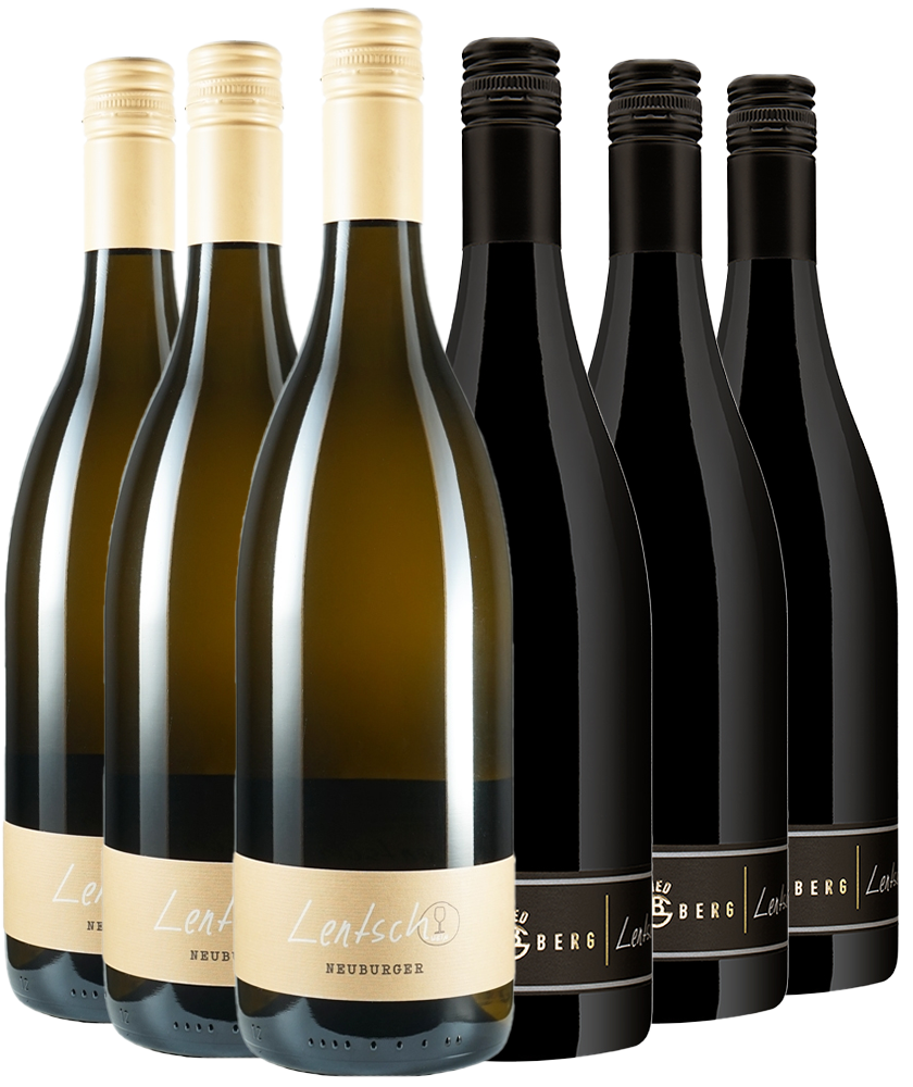 Goldberg Lagenwein Paket