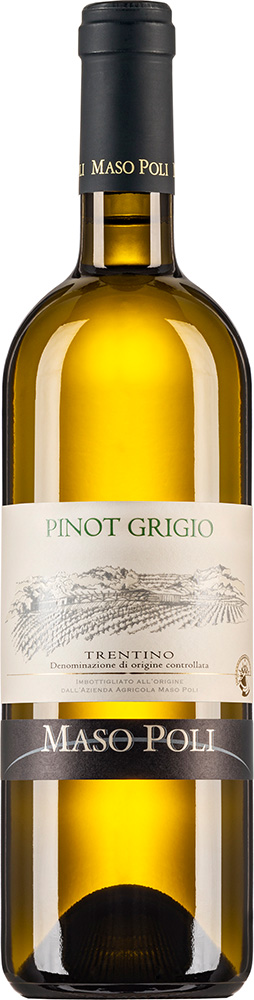 2023 Pinot Grigo Trentino DOC 2023 Pinot Grigo Trentino DOC
