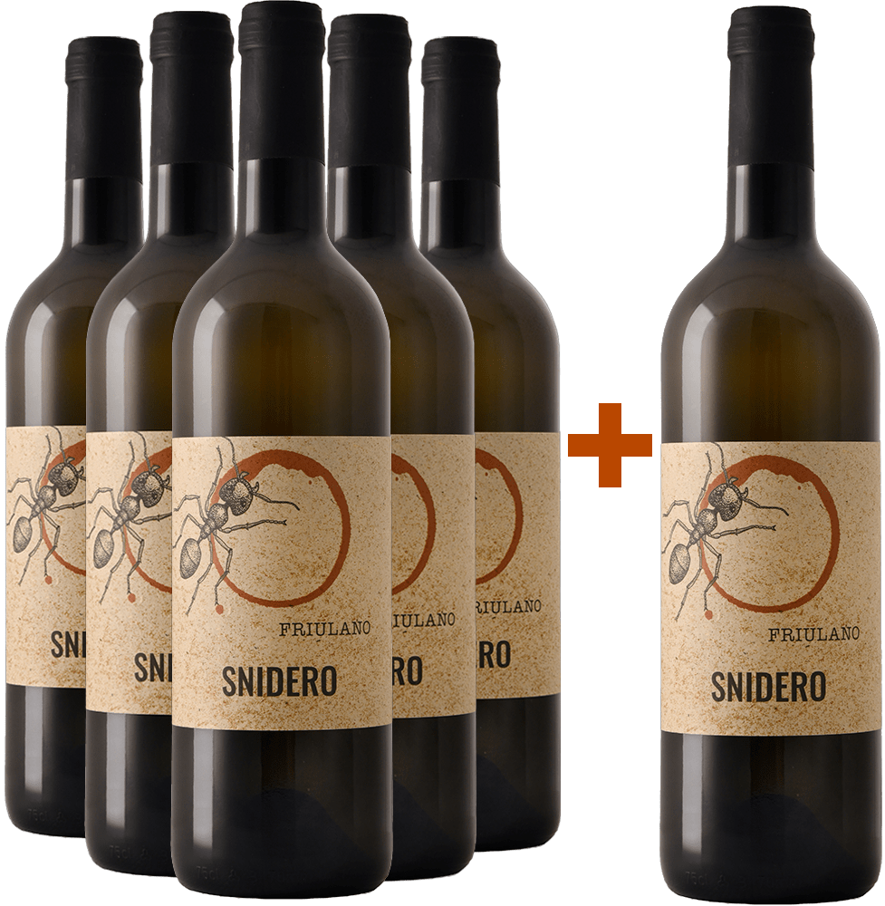 5+1 Paket Friulano Friuli Colli Orientali DOC BIO 5+1 Paket Friulano Friuli Colli Orientali DOC BIO