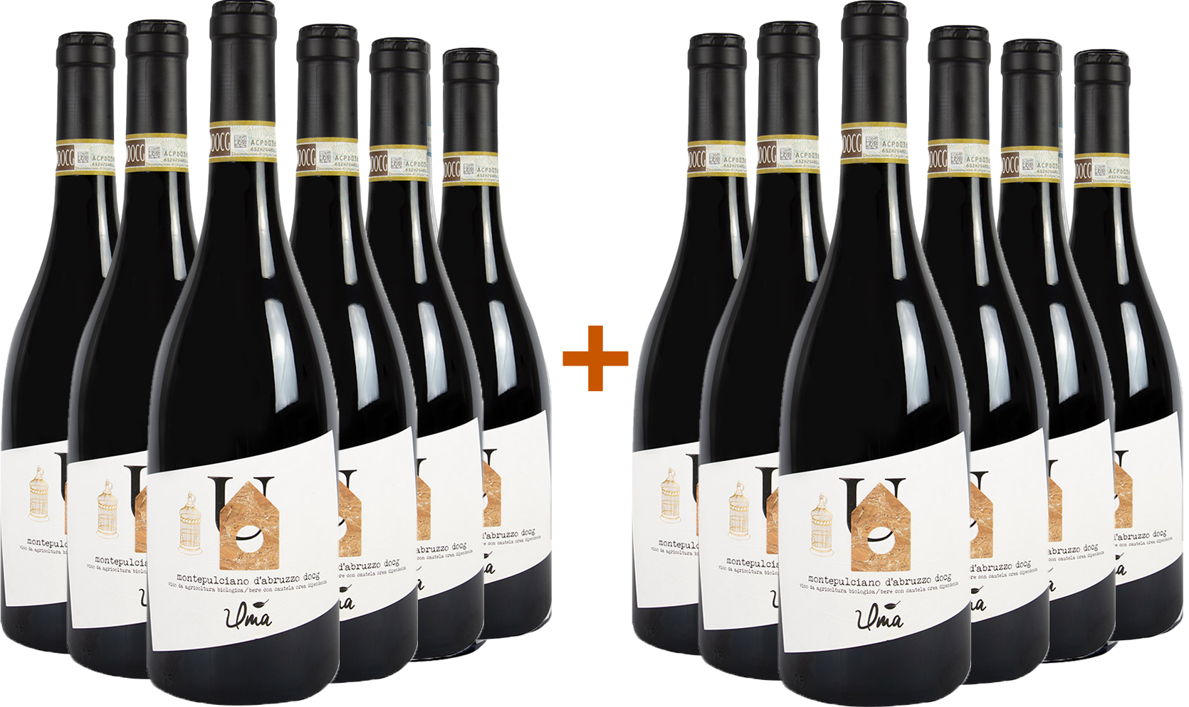 6+6 Paket Montepulciano d'Abruzzo Colline Teramane DOCG BIO BIO