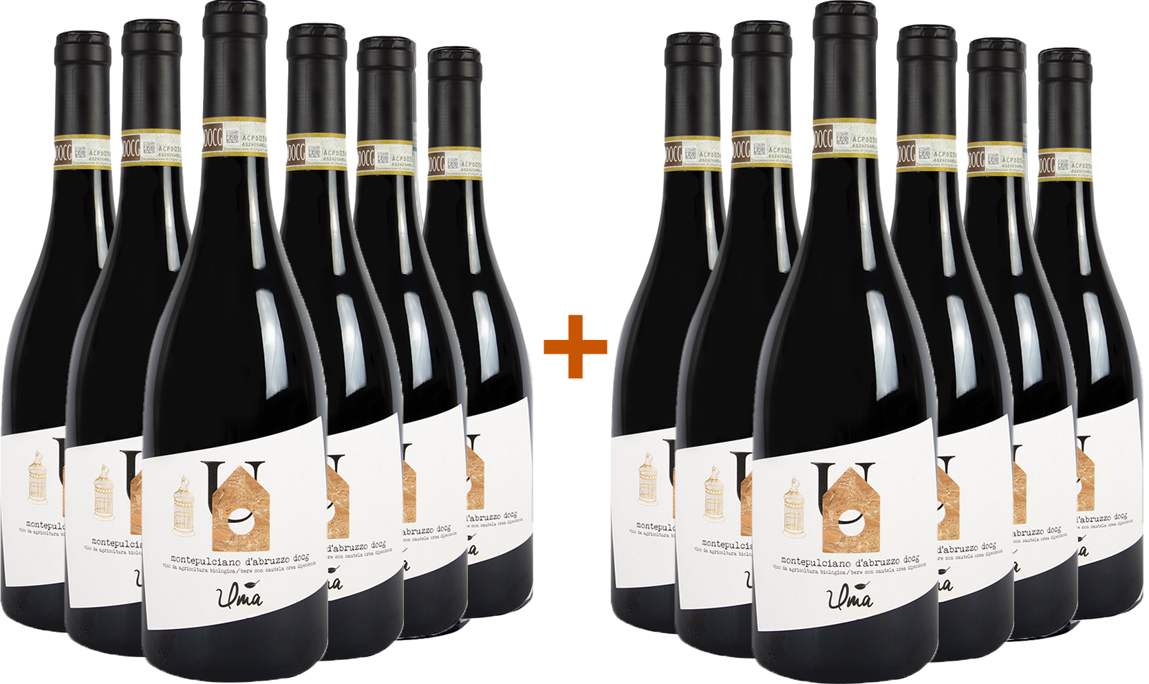 6+6 Paket Montepulciano d'Abruzzo Colline Teramane DOCG BIO BIO 6+6 Paket Montepulciano d'Abruzzo Colline Teramane DOCG BIO BIO