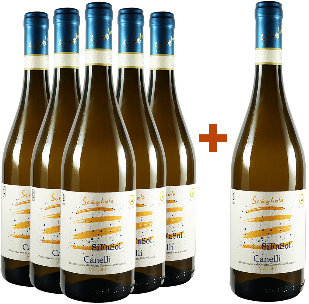 5+1 Paket Moscato SiFaSol Canelli DOCG