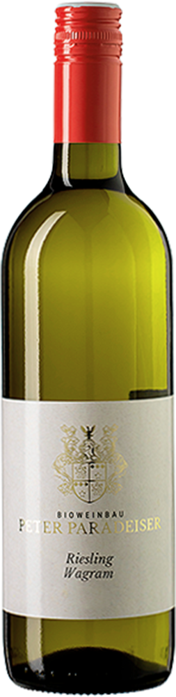 2024 Riesling BIO 2024 Riesling BIO