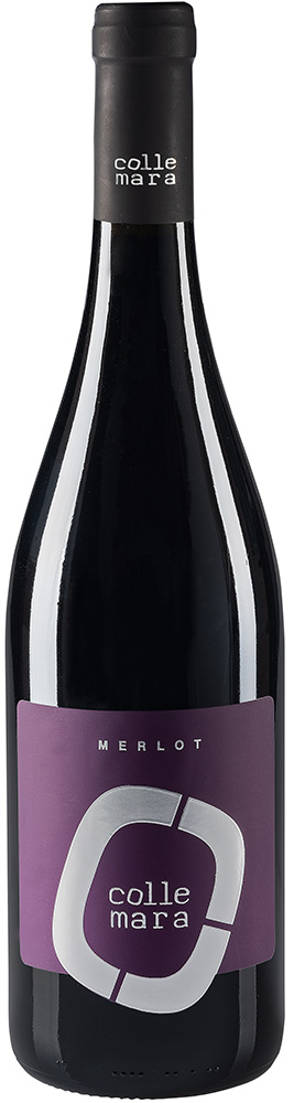2017 Merlot Rosso Marche IGP