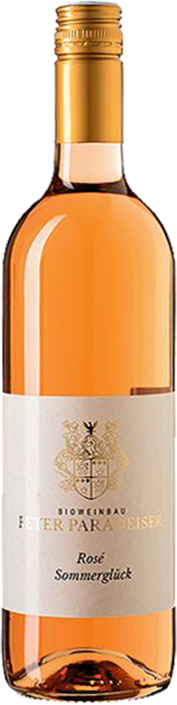 2024 Rose Sommerglück BIO 2024 Rose Sommerglück BIO