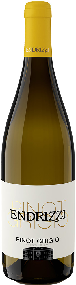 2024 Pinot Grigio Trentino DOC