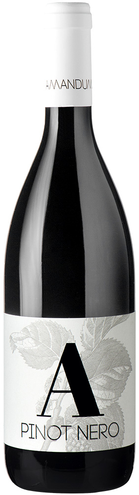 2019 Pinot Nero Friuli Isonzo DOC