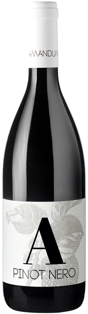 2019 Pinot Nero Friuli Isonzo DOC 2019 Pinot Nero Friuli Isonzo DOC