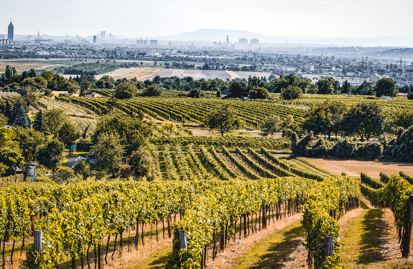 manufacturer_rainer_christ_slide_1 manufacturer_rainer_christ_slide_1