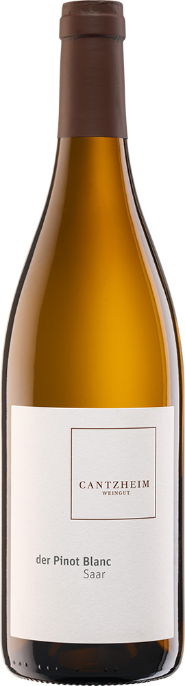 2022 Der Pinot Blanc