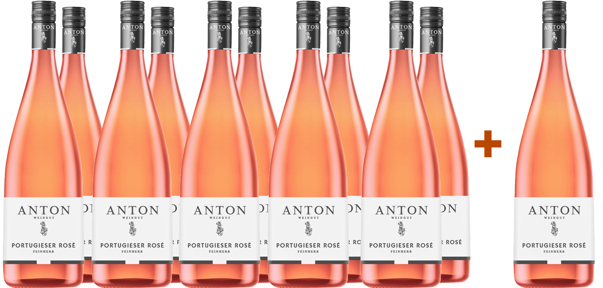 11+1 2024 Portugieser Rosé Weißherbst