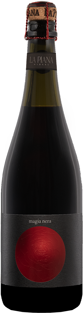 2024 Magia Nera Lambrusco Grasparossa di Castelvetro DOC BIO