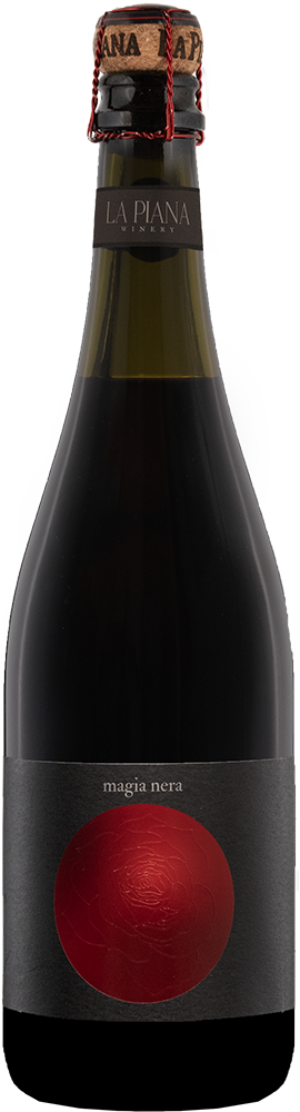 2024 Magia Nera Lambrusco Grasparossa di Castelvetro DOC BIO 2024 Magia Nera Lambrusco Grasparossa di Castelvetro DOC BIO