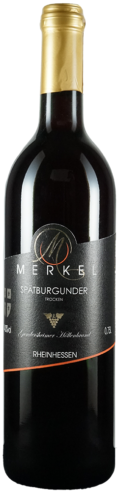 2024 Gundersheimer Höllenbrand Spätburgunder
