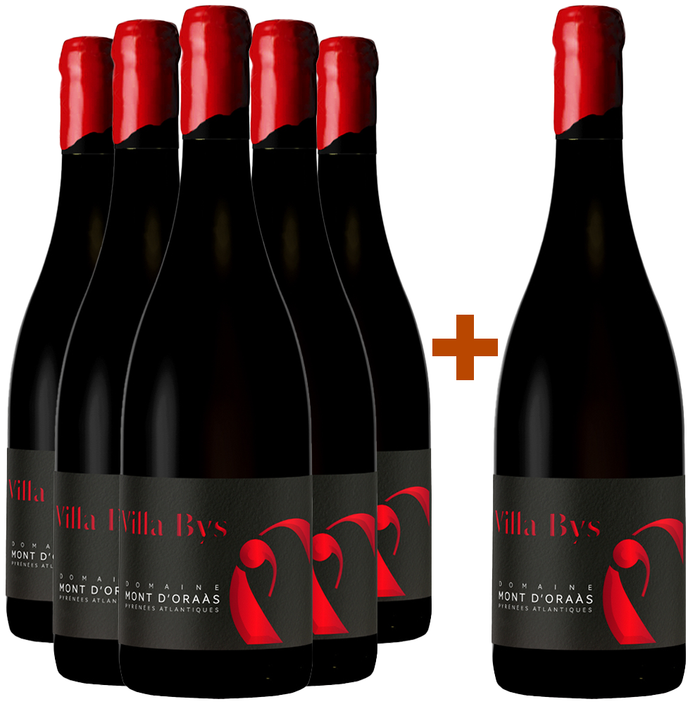 5+1 Paket 2020 Cuvée "Villa Bys" Bio BIO