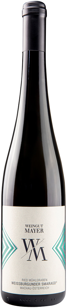 2024 Weißburgunder Smaragd Spitzer Graben BIO