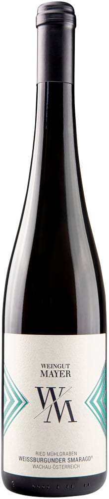 2024 Weißburgunder Smaragd Spitzer Graben BIO 2024 Weißburgunder Smaragd Spitzer Graben BIO