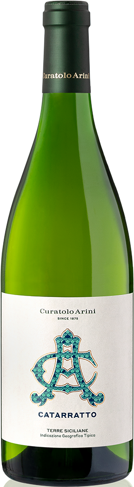 Catarratto Sicilia DOC Catarratto Sicilia DOC