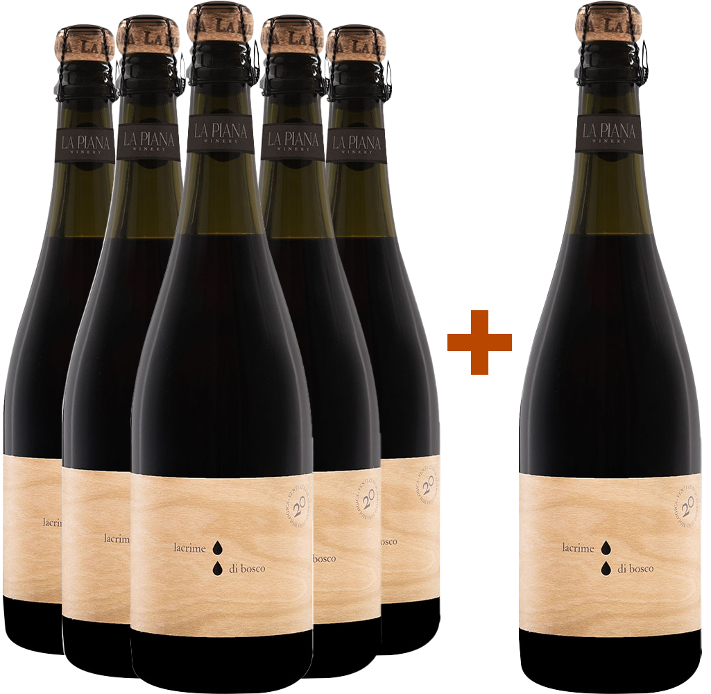 5+1 Paket Lacrime di Bosco Lambrusco Grasparossa di Castelvetro DOC BIO 5+1 Paket Lacrime di Bosco Lambrusco Grasparossa di Castelvetro DOC BIO