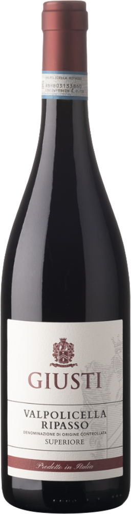2019 Valpolicella Ripasso Superiore DOC 2019 Valpolicella Ripasso Superiore DOC