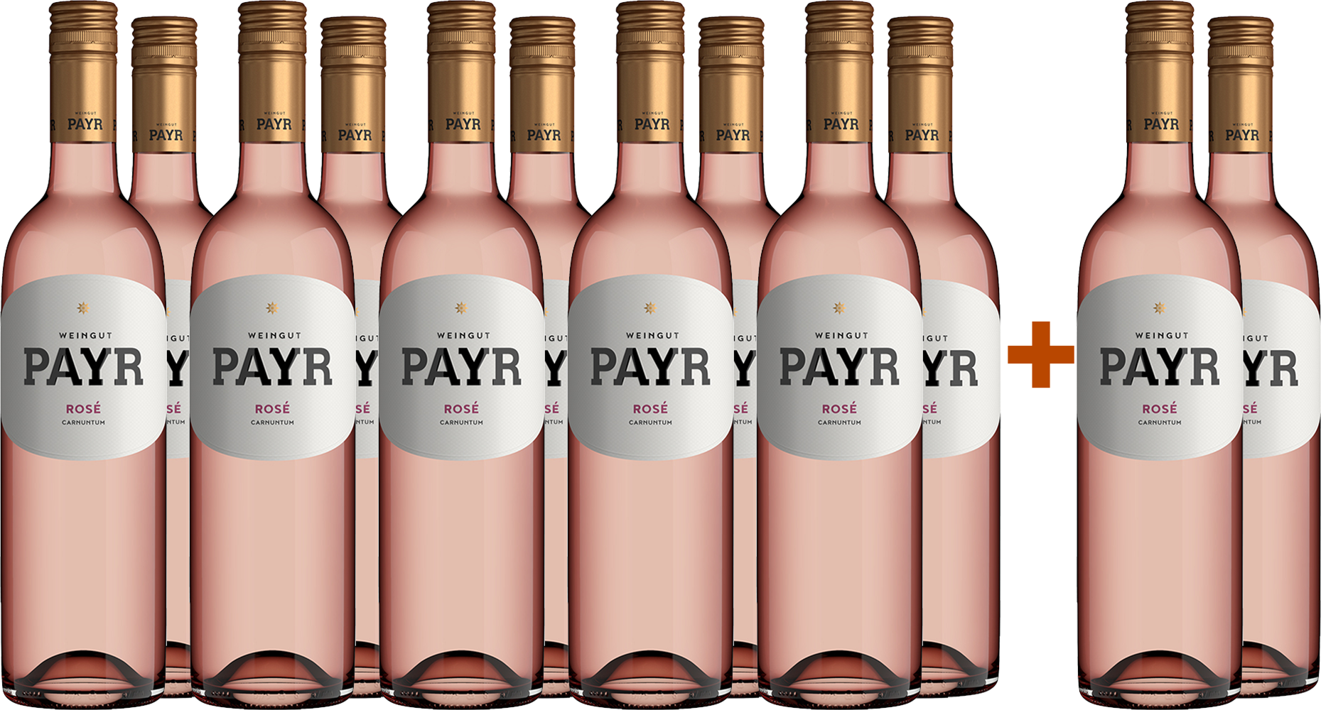 10+2 Rosé ÖTW Gutswein BIO BIO