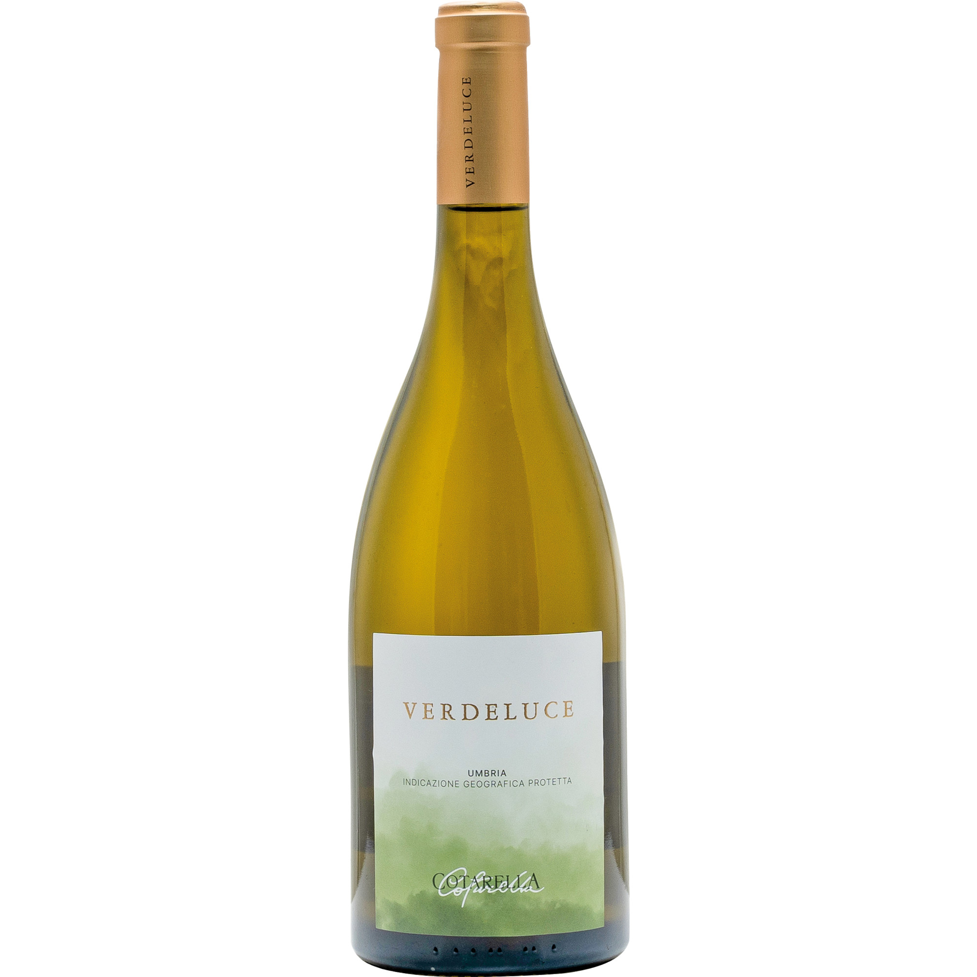 2024 Verdeluce Bianco